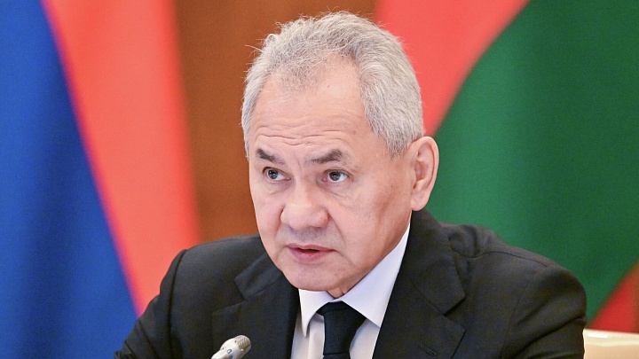 Шойгу выступил с инициативой создания механизмов реагирования на ЧС на базе БРИКС