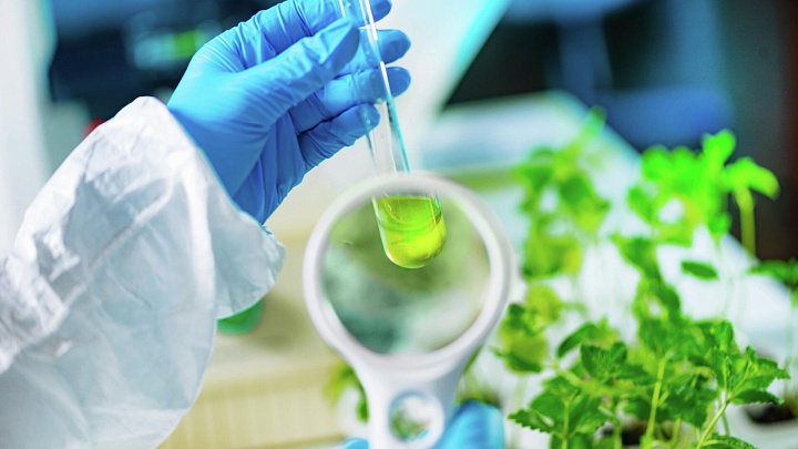 Ученые нашли "ключ" для внедрения в клетку лекарства из растений