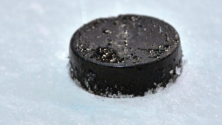 Шайба Гаврикова не спасла "Рейнджерс" от поражения в матче НХЛ