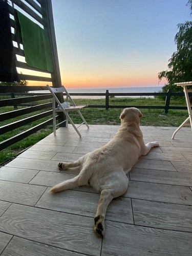 Где лучше остановиться в центре экономно в Великом Новгороде?